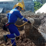 Solusi Ampuh Jasa Anti Rayap untuk Rumah Bebas Kerusakan